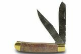 Pocket Knife with Fossil Dinosaur Bone Inlays & Base #370786-3